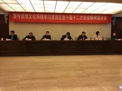 区委十届十二次全会精神座谈会在河北区新闻中心召开